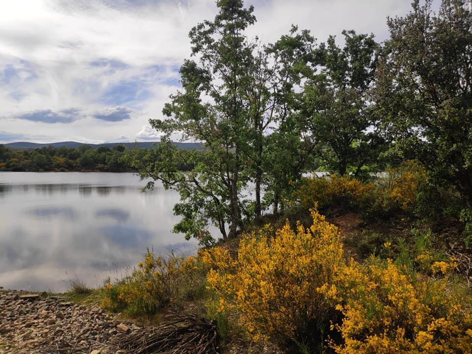 Paisaje cepedano, en las inmediaciones de Vanidodes
